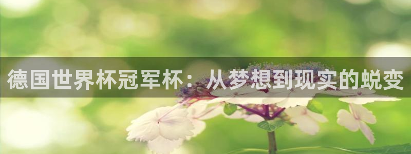 欧洲世预赛赛程表：德国世界杯冠军杯：从梦想到现实的蜕变
