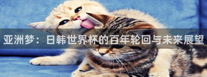 世界杯对阵图2026：亚洲梦：日韩世界杯的百年轮回与未来展望