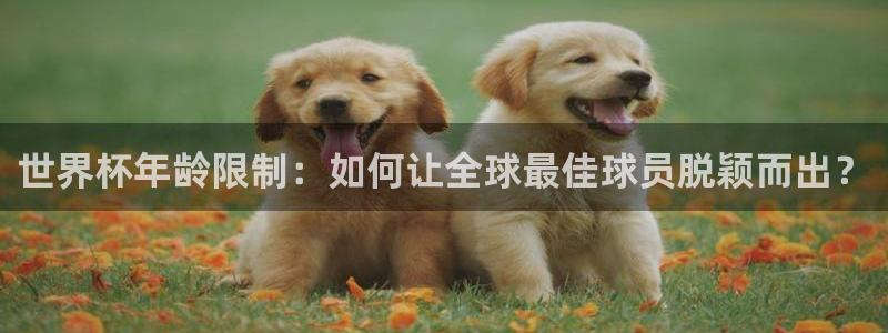 足球世界杯2026年赛程时间表：世界杯年龄限制：如何让全球最佳球员脱颖而出？