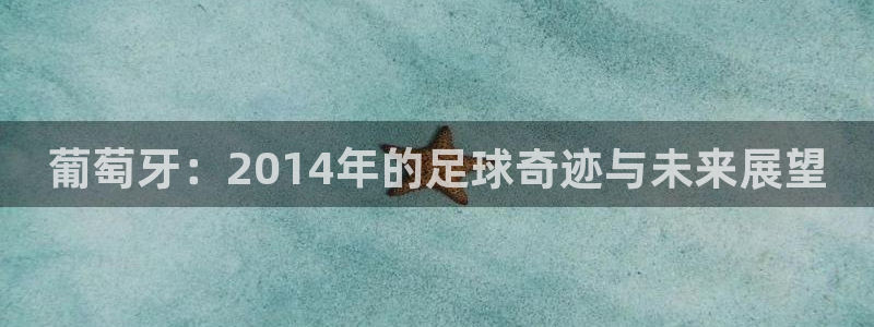 2026年男足世界杯：葡萄牙：2014年的足球奇迹与未来展望