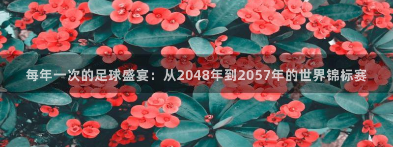 2006世界杯：每年一次的足球盛宴：从2048年到2057年的世界锦标赛