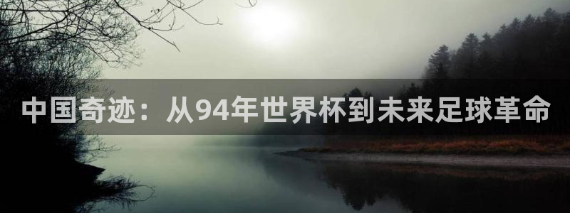 世界杯足球赛：中国奇迹：从94年世界杯到未来足球革命