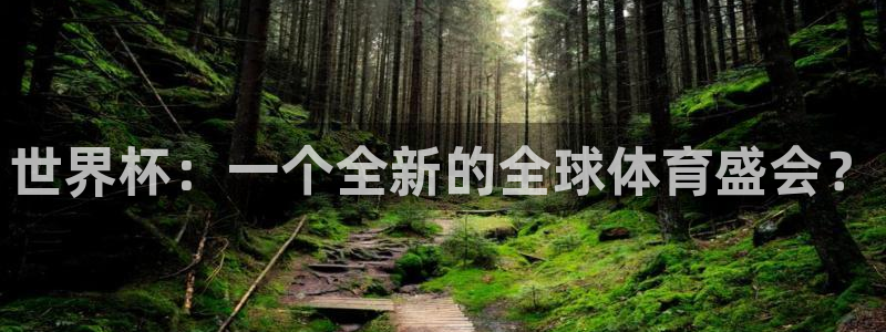今年的世界杯：世界杯：一个全新的全球体育盛会？