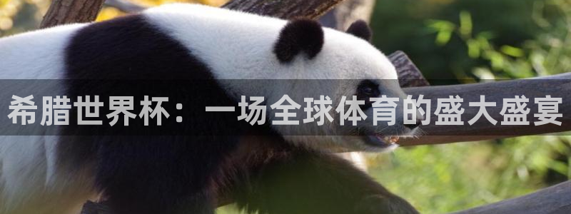 2026年世界杯赛程时间表格：希腊世界杯：一场全球体育的盛大盛宴