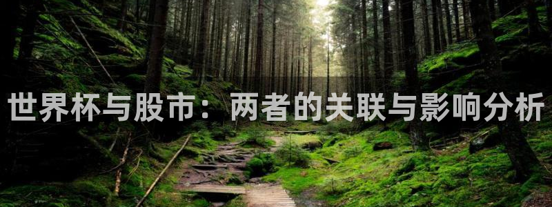 世界杯预选赛亚洲区赛程：世界杯与股市：两者的关联与影响分析