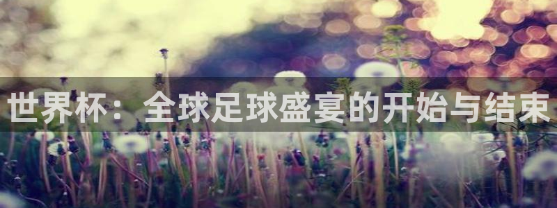 世界杯亚洲区预选赛赛程表：世界杯：全球足球盛宴的开始与结束